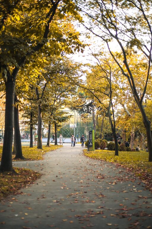 Ideas for Peaceful Weekend Mornings to Refresh Your Soul